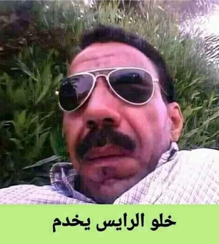 اندلاع حرائق غابية في 6 ولايات